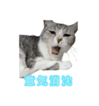 ぺぺさんの我慢所（個別スタンプ：16）