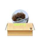 EMMA cute stamp（個別スタンプ：1）