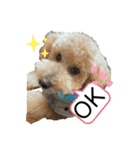 EMMA cute stamp（個別スタンプ：4）