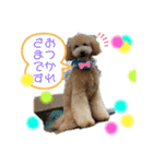 EMMA cute stamp（個別スタンプ：7）