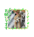 EMMA cute stamp（個別スタンプ：8）