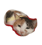 愛され猫ナズさん（個別スタンプ：2）