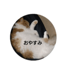 mo^o_o（個別スタンプ：1）