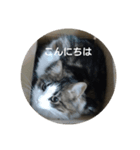 mo^o_o（個別スタンプ：2）
