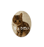 mo^o_o（個別スタンプ：5）