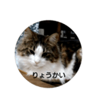 mo^o_o（個別スタンプ：8）