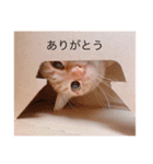 いなりの生活2（個別スタンプ：5）
