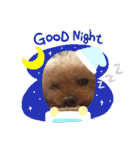 トイプードルだよ ぷりんとこぷりん（個別スタンプ：11）