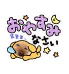 トイプードルだよ ぷりんとこぷりん（個別スタンプ：12）