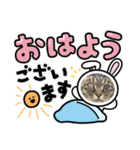 瓜の日常スタンプ（個別スタンプ：3）