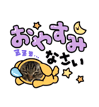 瓜の日常スタンプ（個別スタンプ：5）
