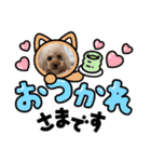 トイプー親子（個別スタンプ：2）