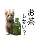 うちの子スタンプ（犬猫）（個別スタンプ：12）