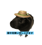 モルモットのもーちゃんるーちゃんスタンプ（個別スタンプ：4）