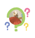 モルモットのもーちゃんるーちゃんスタンプ（個別スタンプ：6）