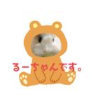 モルモットのもーちゃんるーちゃんスタンプ（個別スタンプ：12）