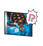 うみがめ君（個別スタンプ：6）