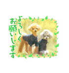 えいるいわんこ2（個別スタンプ：1）