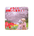 えいるいわんこ2（個別スタンプ：4）