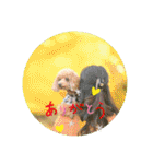 えいるいわんこ2（個別スタンプ：18）