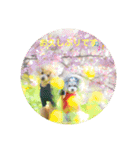 えいるいわんこ2（個別スタンプ：30）
