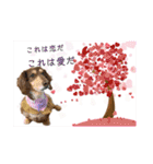ダックスとたまに柴犬2（個別スタンプ：12）