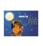 ダックスとたまに柴犬2（個別スタンプ：14）