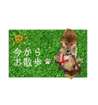 ダックスとたまに柴犬2（個別スタンプ：18）