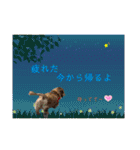 ダックスとたまに柴犬2（個別スタンプ：19）