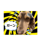 ダックスとたまに柴犬2（個別スタンプ：24）