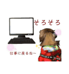 ダックスとたまに柴犬2（個別スタンプ：27）