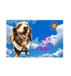 ダックスとたまに柴犬2（個別スタンプ：35）