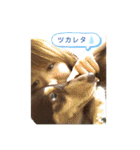 ダックスとたまに柴犬2（個別スタンプ：37）