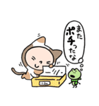 ネコ活（個別スタンプ：24）