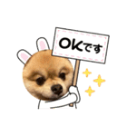 ポンタのスタンプ集（個別スタンプ：7）
