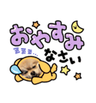 ポンタのスタンプ集（個別スタンプ：14）