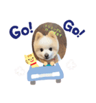 リト＆お友達（個別スタンプ：3）