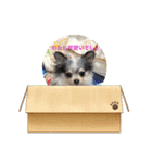 リト＆お友達（個別スタンプ：6）