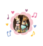 リト＆お友達（個別スタンプ：12）