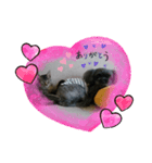 チョコ ＆ マメ（個別スタンプ：8）