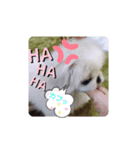 花ペキ✢NATUME（個別スタンプ：2）