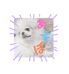 花ペキ✢NATUME（個別スタンプ：5）