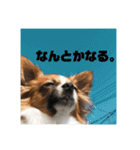 レオくんスタンぴ！！！（個別スタンプ：18）