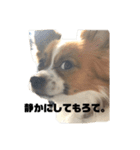 レオくんスタンぴ！！！（個別スタンプ：20）