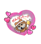 柴犬♀さくらの日常2（個別スタンプ：14）