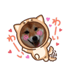柴犬♀さくらの日常2（個別スタンプ：16）