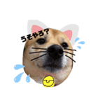 きゃべちゃん（個別スタンプ：3）