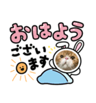 猫たち集合！！（個別スタンプ：1）