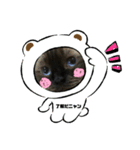 猫たち集合！！（個別スタンプ：2）