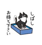 少し動く！猫ちゃん3 でか文字 仲良し（個別スタンプ：9）